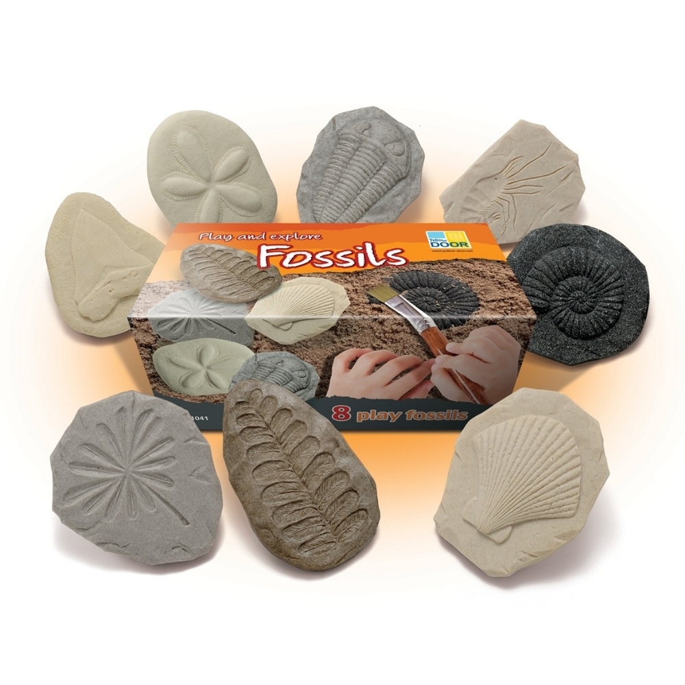 Yellowdoor Play And Explore Fossil Imprint Learning Stones Set